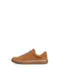 Glory Camel
