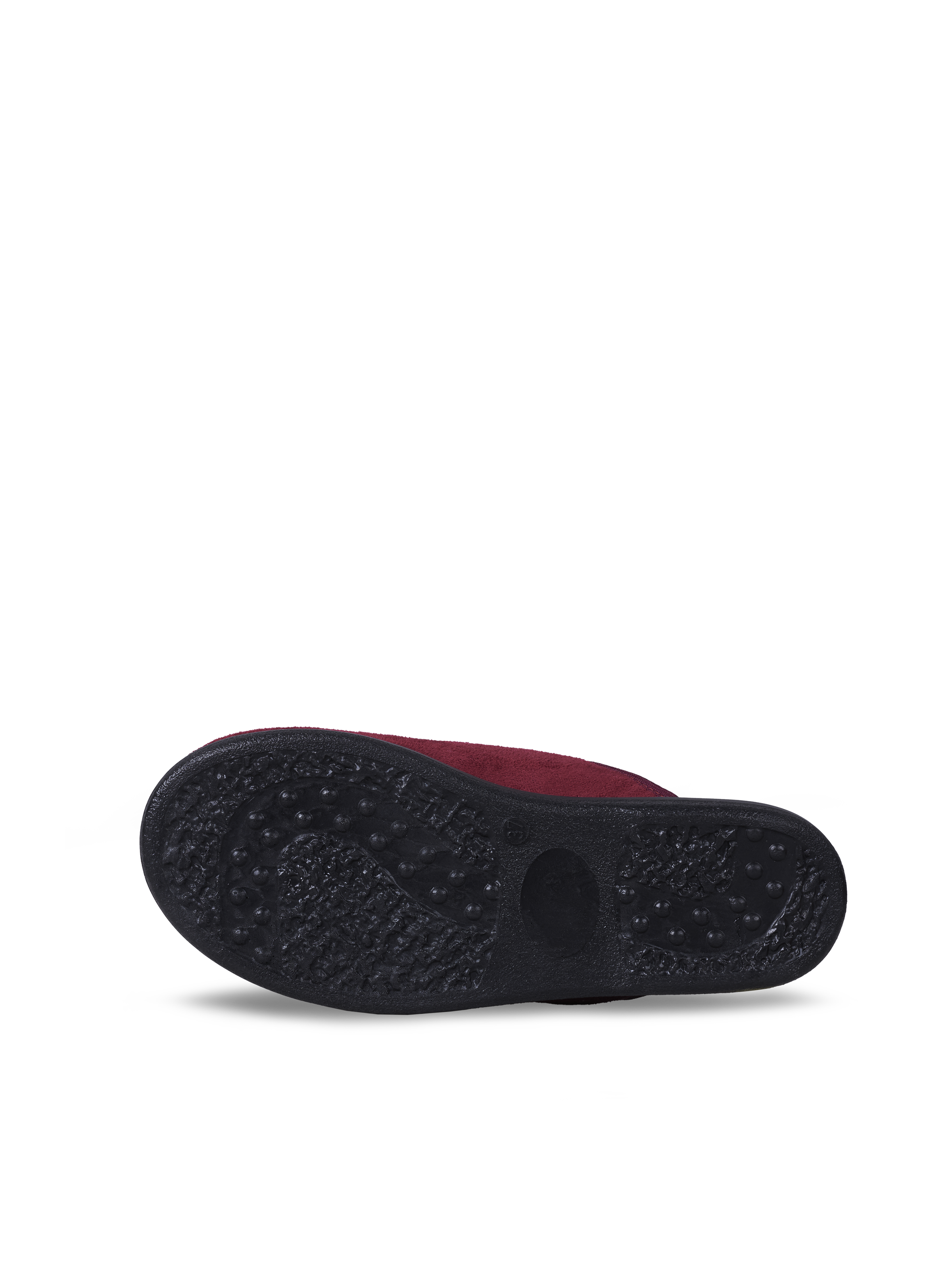 Holly Red